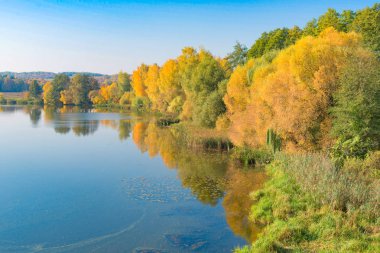 nehir ve ağaçlar Sarı yaprakları ile 