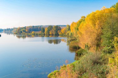 nehir ve ağaçlar Sarı yaprakları ile 