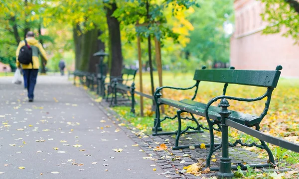 Green benches in the park against the background of trees — Stock Photo, Image