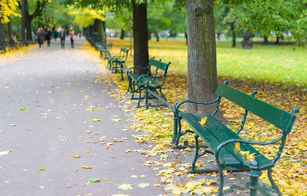 Green benches in the park against the background of trees — Stock Photo, Image