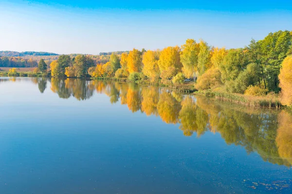 Rivière et arbres aux feuilles jaunes — Photo