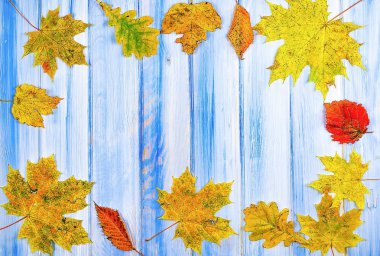 Çerçeve dekorasyon ile renkli ahşap arka plan doku bırakır