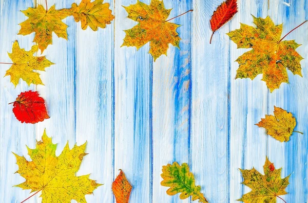 Rahmen Dekoration Mit Bunten Blättern Hintergrund Textur Aus Holz — Stockfoto