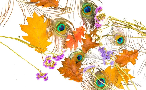 用羽毛和黄色叶子装饰 — 图库照片