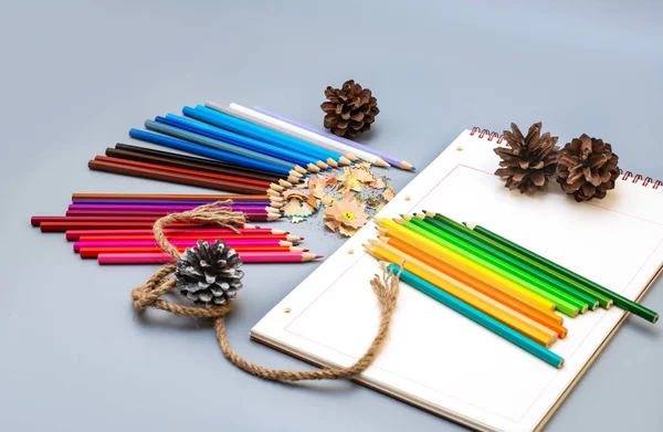 Lápices afilados multicolores, conos de coníferas y bloc de notas —  Fotos de Stock