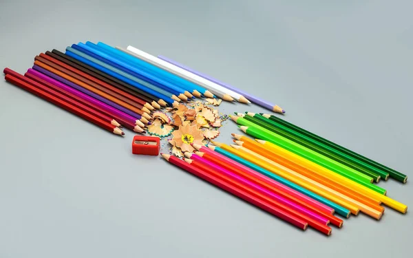 Multicolored pencils with sharpening and chips on a gray backgro — Stock Photo, Image