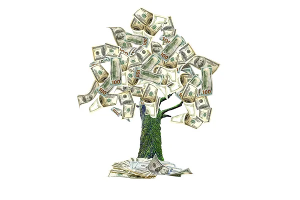 白地に葉の代わりに紙ドルで木の枝 — ストック写真