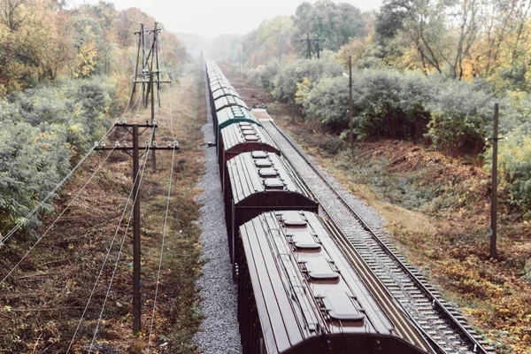 Trein Met Goederenwagons Spoorweg Het Bos Het Najaar — Stockfoto