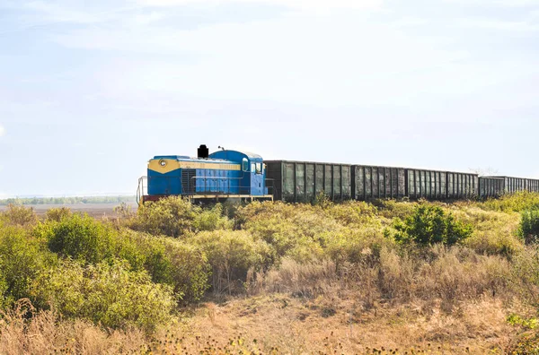 Diesel locomotive with freight cars on a field background with green grass in summer