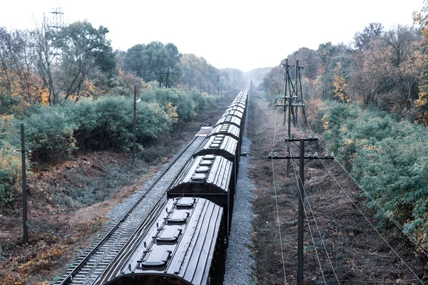 Comboio Com Vagões Mercadorias Estrada Ferro Floresta Outono — Fotografia de Stock