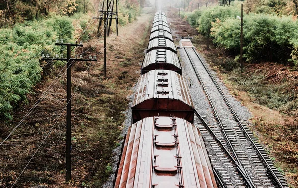 Trein Met Goederenwagons Spoorweg Het Bos Het Najaar — Stockfoto