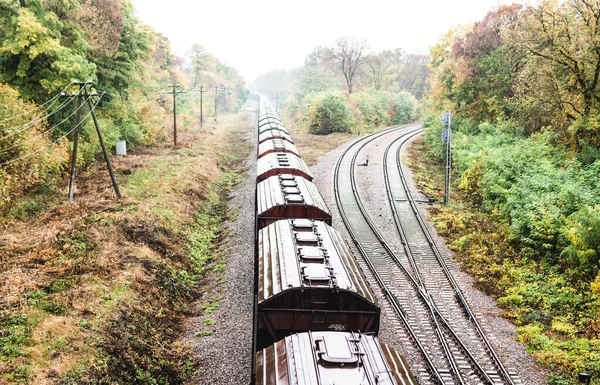 Trein Met Goederenwagons Spoorweg Het Bos Het Najaar — Stockfoto
