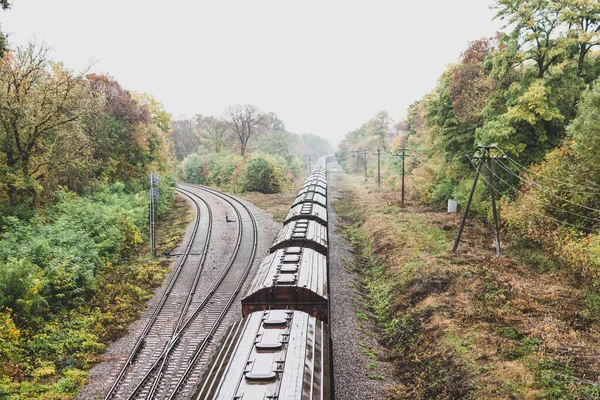 Comboio Com Vagões Mercadorias Estrada Ferro Floresta Outono — Fotografia de Stock