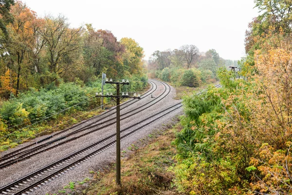 Ferrovia Ramificada Floresta Outono — Fotografia de Stock