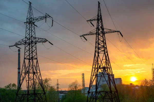 Högspänningsledningar Metallankare Stöd Mot Växt Och Solnedgång Bakgrund — Stockfoto