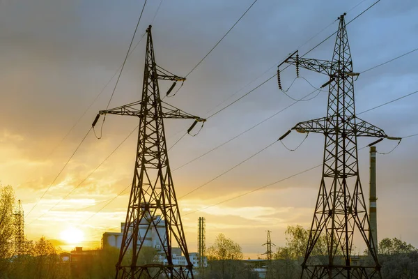 Högspänningsledningar Metallankare Stöd Mot Växt Och Solnedgång Bakgrund — Stockfoto