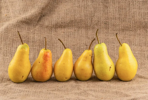 Yellow Ripe Pears Displayed Row Burlap Fabric Background — Stock Photo, Image