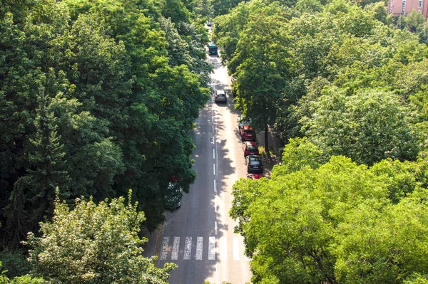 Park Alanının Yeşil Ağaçları Arasında Yol Kenarında Arabalarla Asfalt Yol — Stok fotoğraf