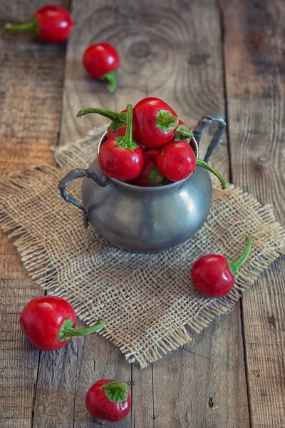 Red chili pepper — Stock Photo, Image