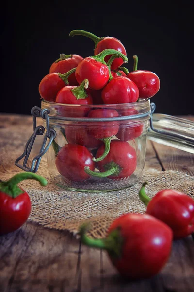 Röd chilipeppar — Stockfoto