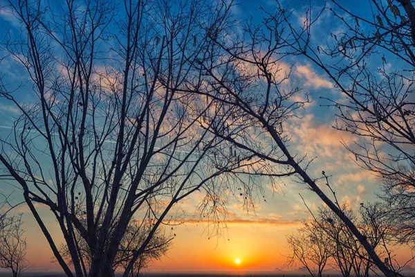 Soluppgång i vinter morgonen — Stockfoto