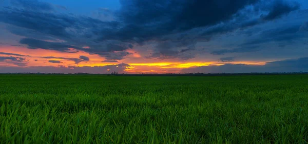 Napnyugta panoráma Stock Kép