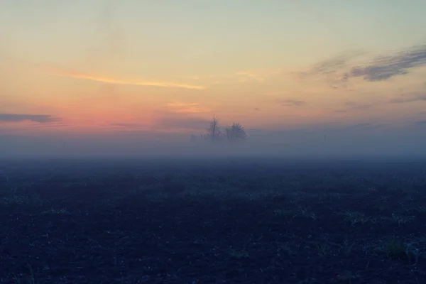 Východ slunce mlha — Stock fotografie