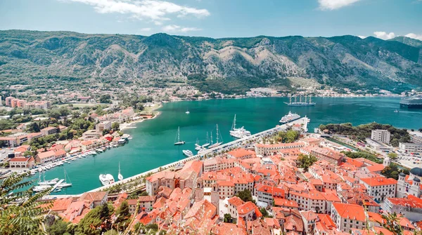 The city of Kotor, in Montenegro — Stock Photo, Image