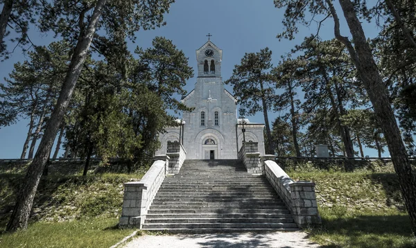 Die Kathedrale des Basilikums von Ostrog — Stockfoto