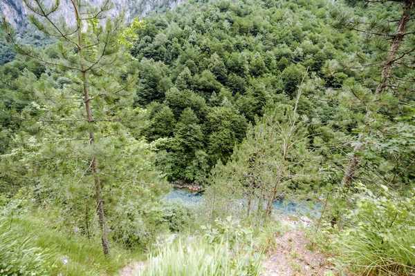 Bezienswaardigheden Van Montenegro Natuur — Stockfoto