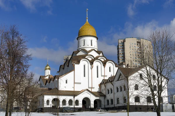 Nevski Kerk Moskou — Stockfoto