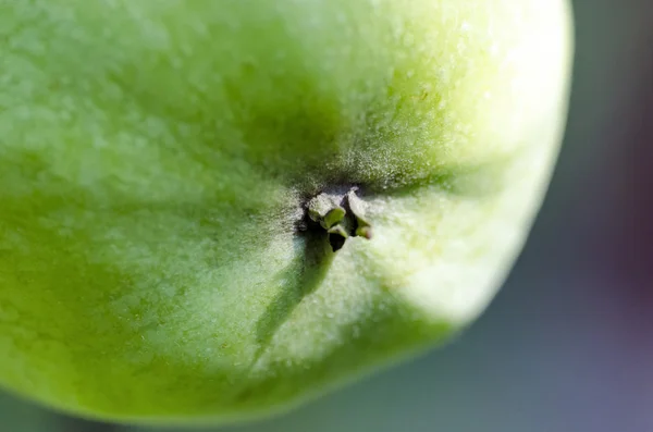 Grüner Apfel Aus Nächster Nähe — Stockfoto