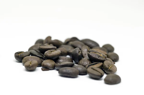 흰색 배경 coffe 씨앗에 절연 — 스톡 사진
