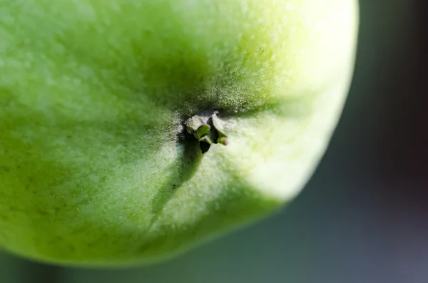 Grönt äpple närbild — Stockfoto