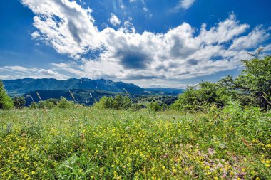 Alan, yol, gökyüzü ve çiçekler