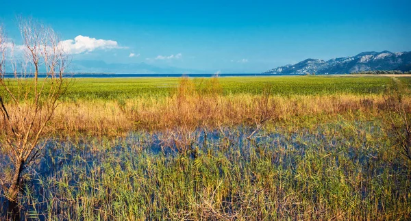 Lake Skadar in Montenegro — Stock Photo, Image