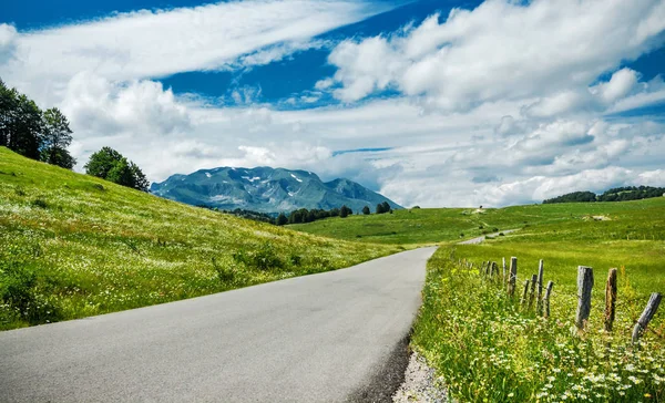 Campo, strada e cielo — Foto Stock