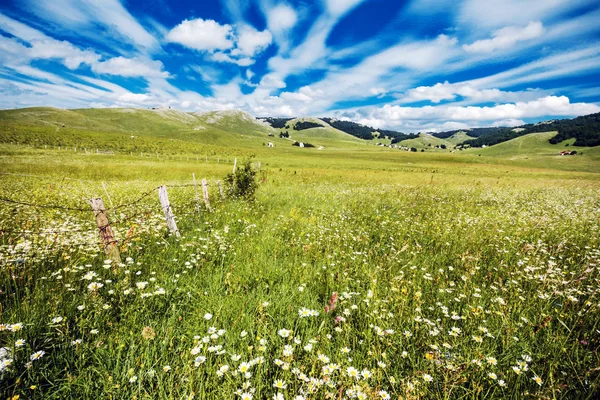 Campo, strada e cielo — Foto Stock