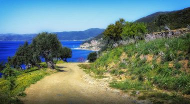 Kutsal Mount, Athos Yunanistan doğasını keşfetmek