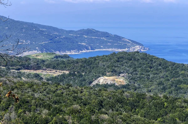 La naturaleza de la Montaña Santa Athos, Macedonia griega — Foto de Stock