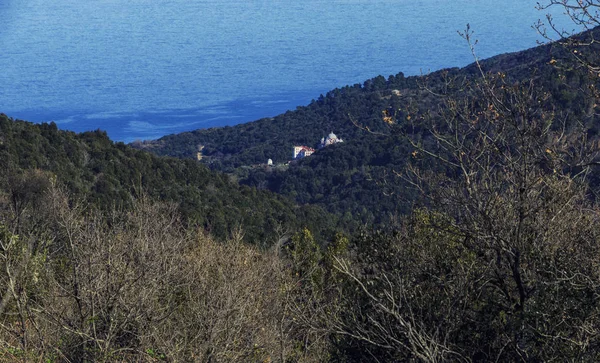 A natureza do Santo Monte Athos, Macedônia grega — Fotografia de Stock