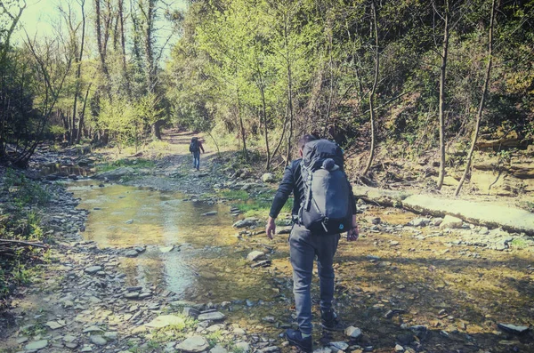Путешественники в лесу пересекают ручей — стоковое фото