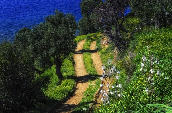 Zwiedzanie charakter Święty Mount Athos w Grecji — Zdjęcie stockowe