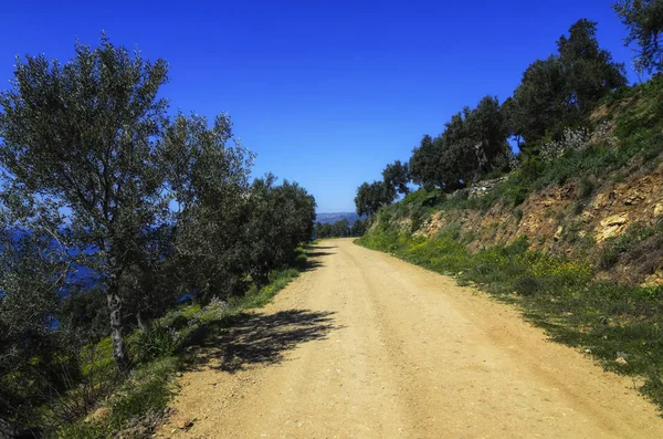 Kutsal Mount, Athos Yunanistan doğasını keşfetmek