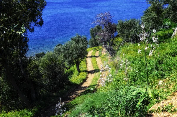 Вивчення природи Святої гори Афон у Греції — стокове фото