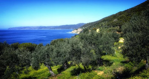 Üzerinde kutsal Athos manastır