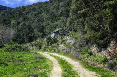 Terk edilmiş Mount Athos cepten