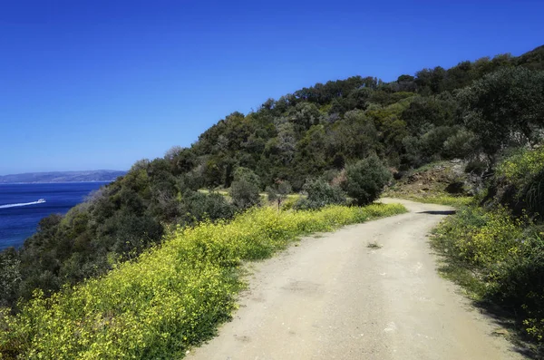 Kutsal Athos Dağı'nın güzel doğa