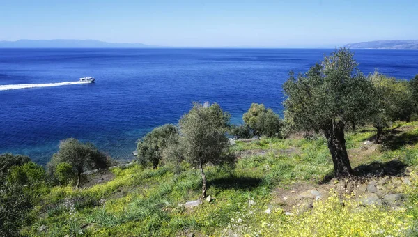 Piękno przyrody świętej góry Athos — Zdjęcie stockowe