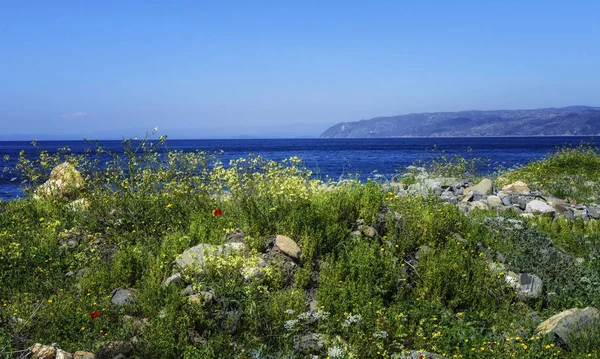 Beautiful nature of the Holy Athos Mountain — Stock Photo, Image